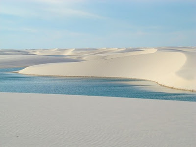 BRAZILIAN DESERT