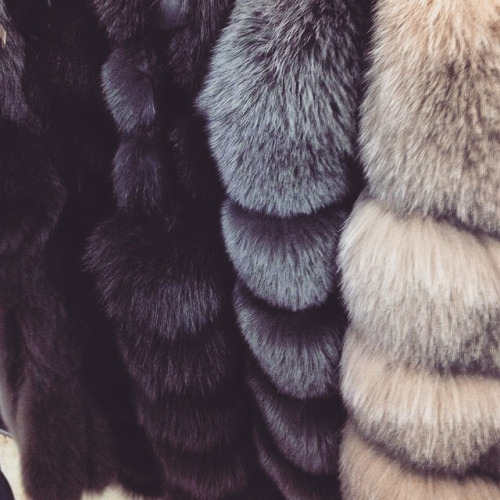 fur
