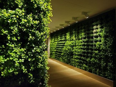GREEN WALL
